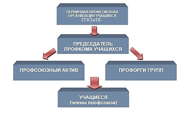 Пример первичной организации